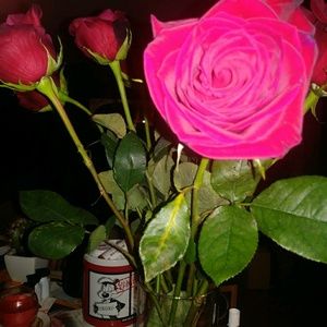 Meet your Posher, Japera